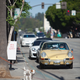 Illustration for article titled Porsche SGBV Concours: Photo Dump